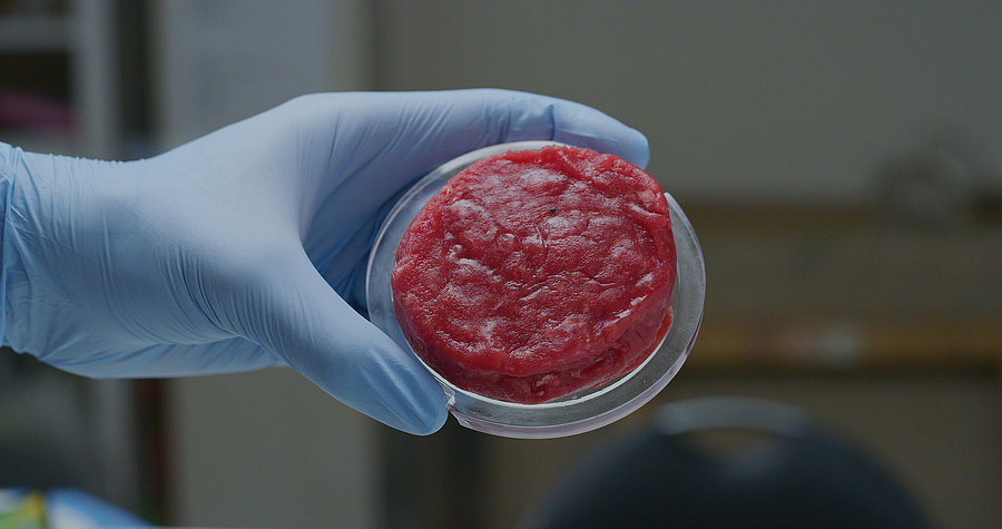 A sejszaporítás után még komoly utómunkálatokra van szükség, hogy a laboratóriumi hús úgy nézzen ki, mint a hagyományos