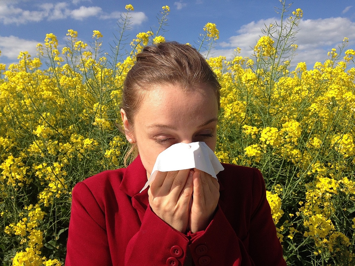 Hungary is extremely vulnerable: twice as many people suffer from allergies