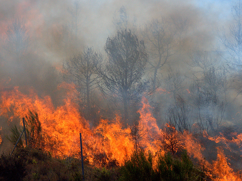Akkora tűz van a kanadai erdőkben, hogy vészhelyzetet kellett elrendelni