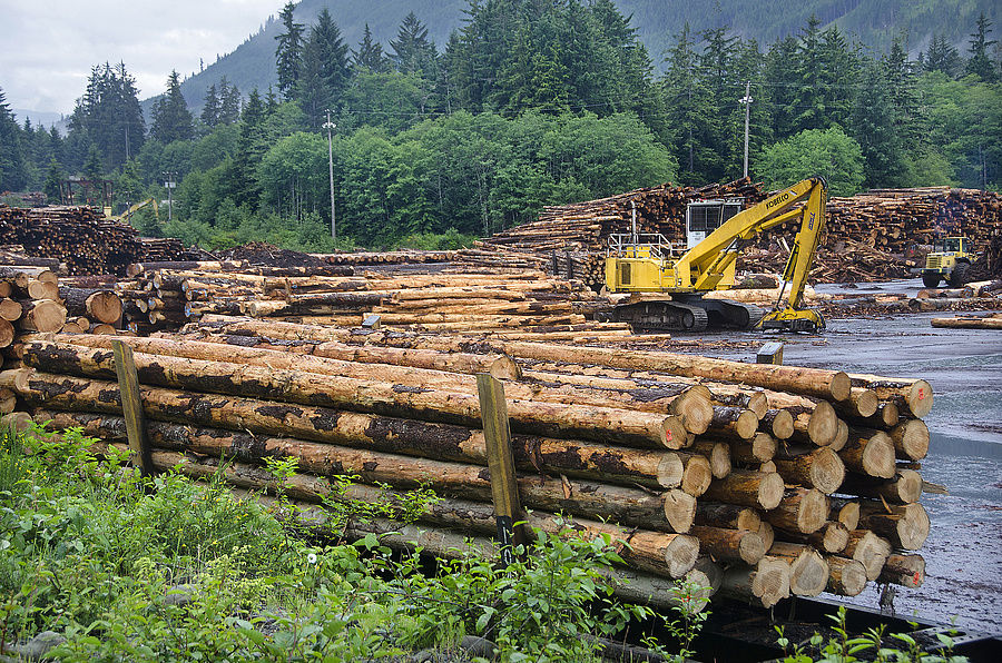Az erdők gazdasgi szerepe elehetetlenülne, ezzel veszélybe kerülne többek közt a tűzifa ellátás és a bútoripar is