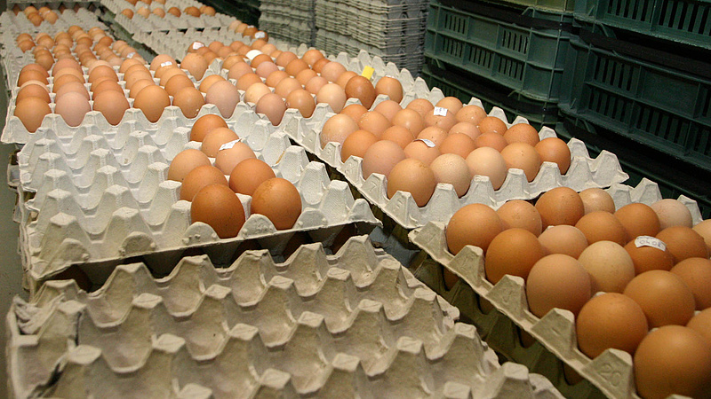 Változtat a tojásárúsításon az Auchan, a CBA, a Reál és a Tesco után